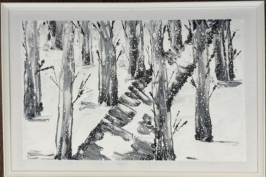 Flagstaff Winter